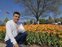 Phong